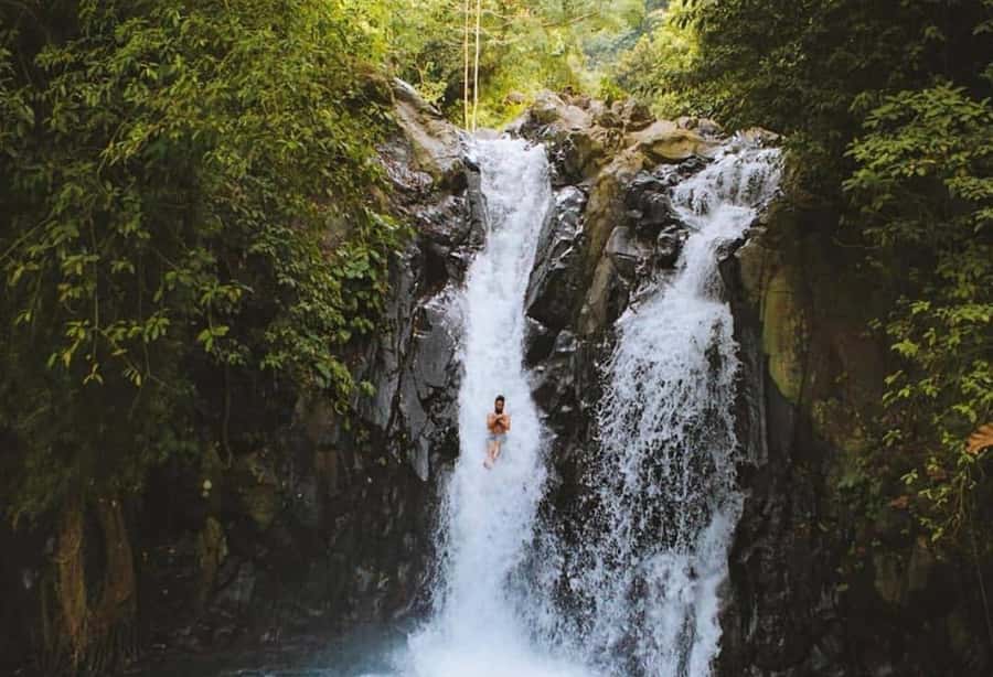 Bali/Lovina: Dolphin Snorkeling, Swimming & Waterfall Tour - Who will enjoy this tour most