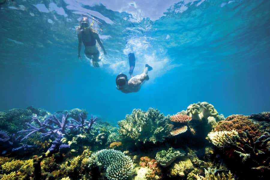 Bali/Lovina: Dolphin Snorkeling, Swimming & Waterfall Tour - Git Git Waterfall and the longer land route
