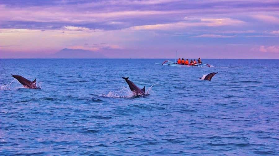 Bali/Lovina: Dolphin Snorkeling, Swimming & Waterfall Tour - Handara Gate, Twin Lakes, and Ulun Danu Beratan