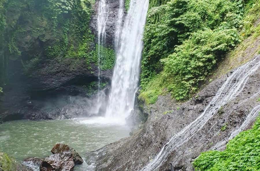 Bali/Lovina: Dolphin Snorkeling, Swimming & Waterfall Tour - Transport from southern Bali changes the value