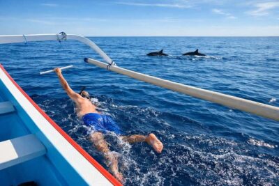 Guided Dolphin Watching & Sunrise Boat Snorkel