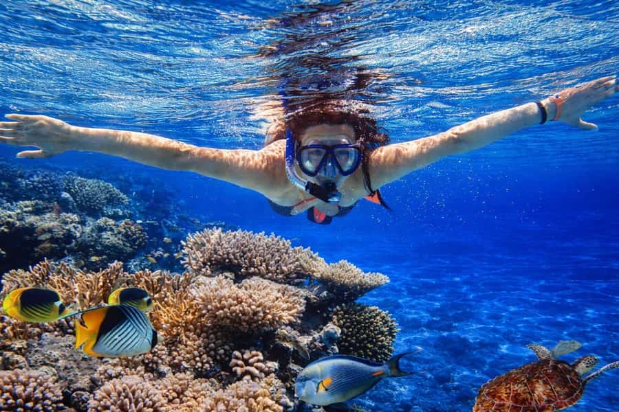 Bali/Lovina: Guided Dolphin Watching & Sunrise Boat Snorkel - Choosing Between a Private Group and a Shared Setting