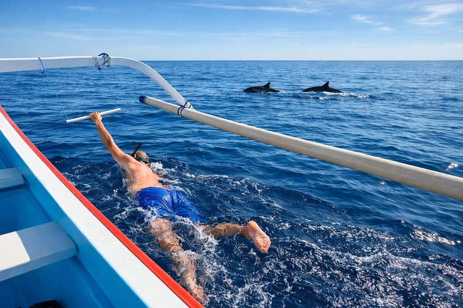 Bali/Lovina: Guided Dolphin Watching & Sunrise Boat Snorkel - The Long Road to Lovina