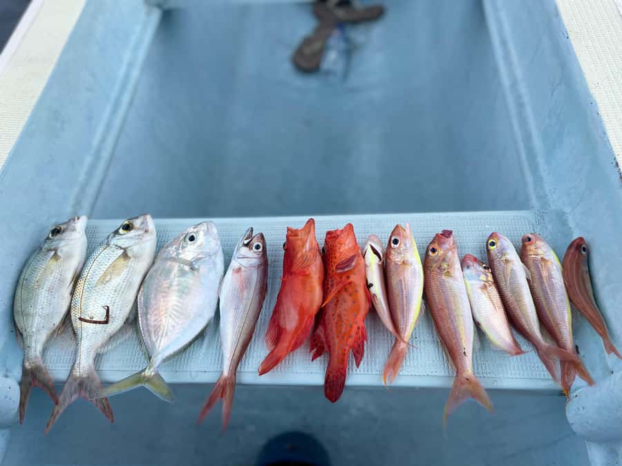 Bali/Lovina: Private Fishing Tour with Snorkeling Option - The difference between 150 minutes and 10 hours