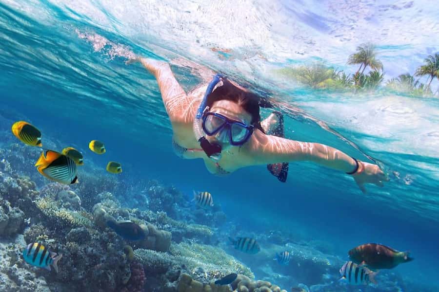 Bali: Lovina Sunset Tour with Snorkeling Experience - The journey to Lovina can shape your whole day