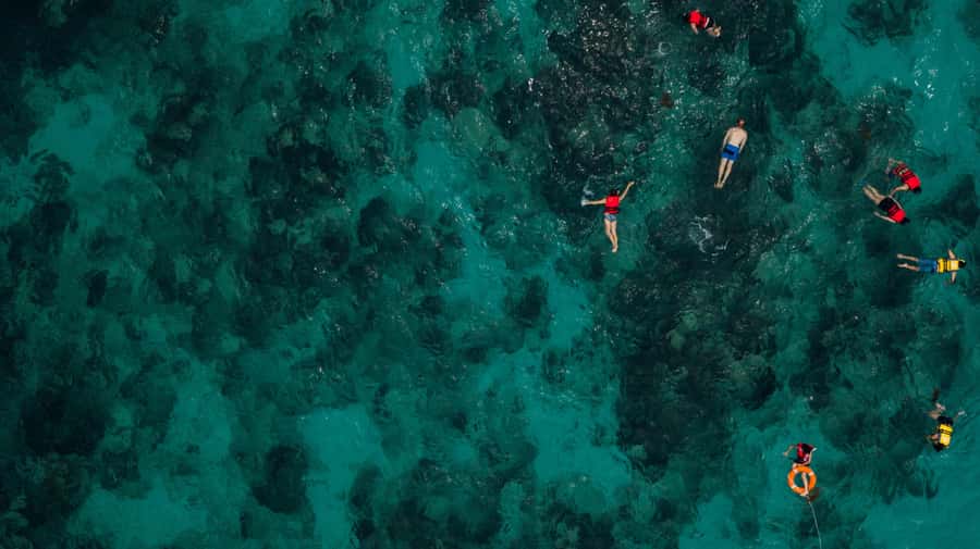 Bali/Nusa Dua: Snorkeling, Glass Boat Ride & Turtle Center - Key points before you book