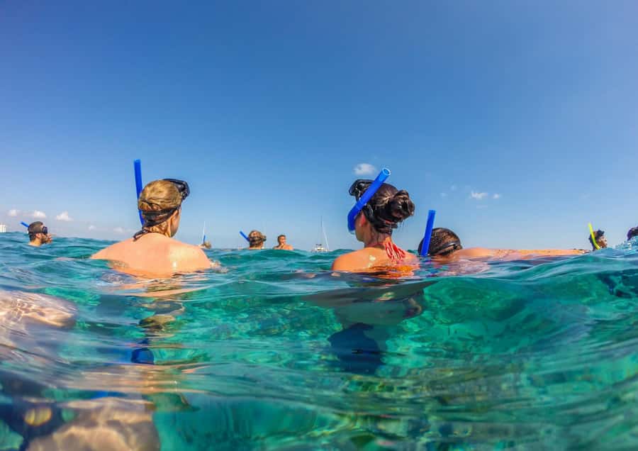 Bali/Nusa Dua: Snorkeling, Glass Boat Ride & Turtle Center - What the $46 price really gets you