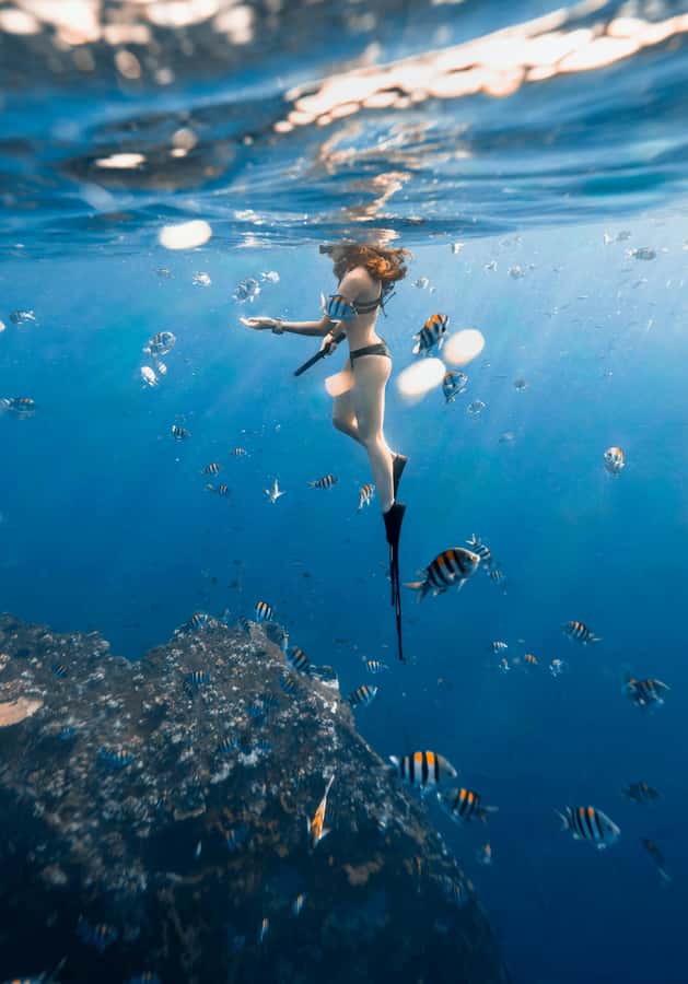 Bali/Nusa Dua: Snorkeling, Glass Boat Ride & Turtle Center - The glass-bottom boat and the 15-minute crossing