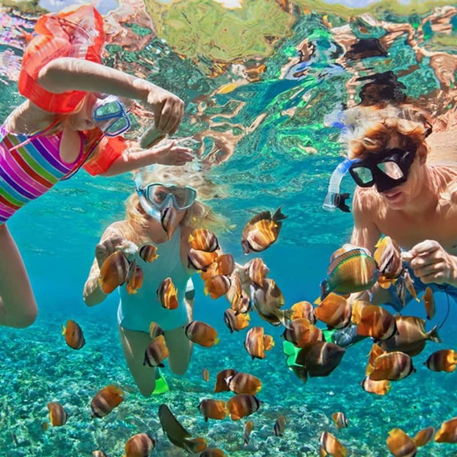 Bali/Nusa Dua: Snorkeling, Glass Boat Ride & Turtle Center - Turtle Island and its conservation message