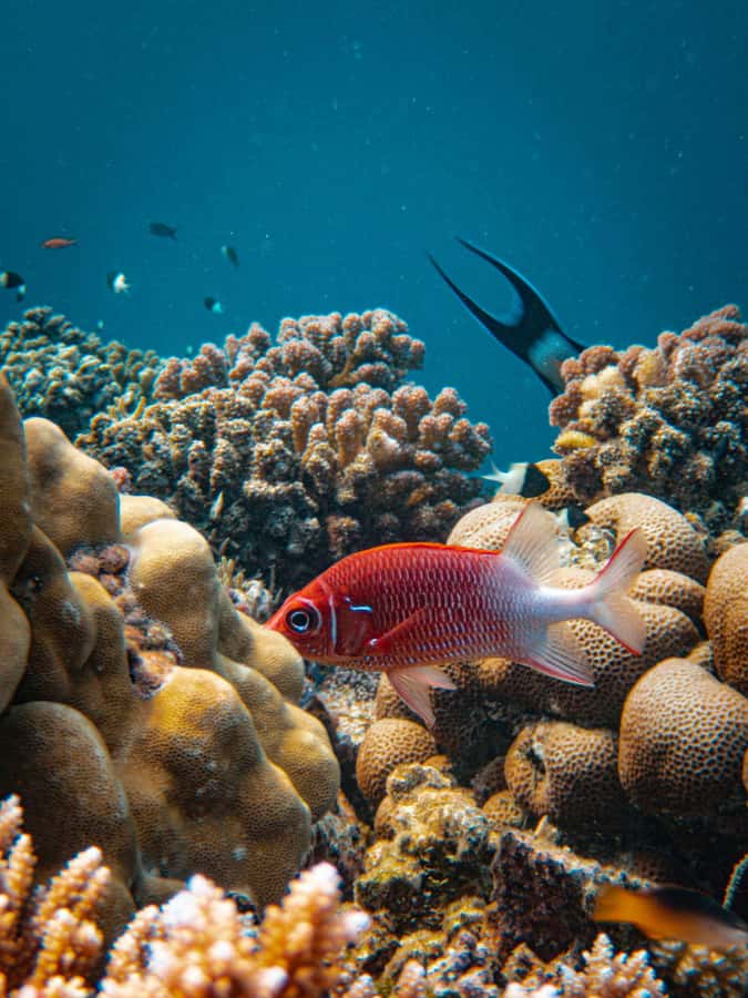 Bali/Nusa Dua: Snorkeling, Glass Boat Ride & Turtle Center - Timing, comfort, and the changing schedule