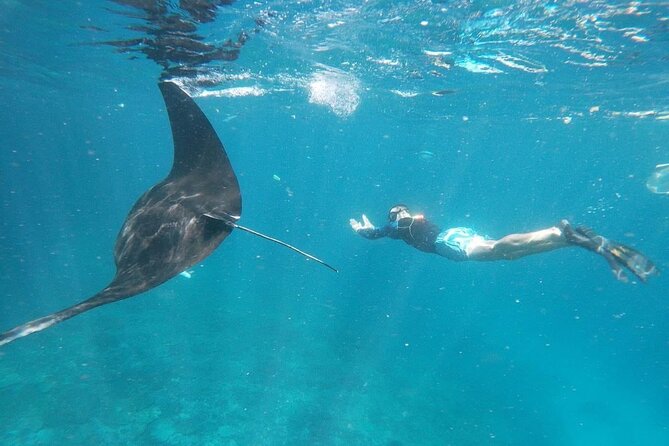 Bali Nusa Penida and Private Snorkeling (Manta Bay, Gamat, Wall) - Key points at a glance