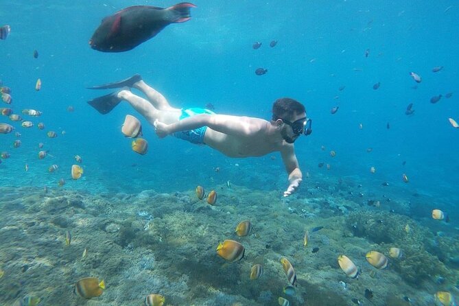 Bali Nusa Penida and Private Snorkeling (Manta Bay, Gamat, Wall) - Broken Beach and Pasih Uug