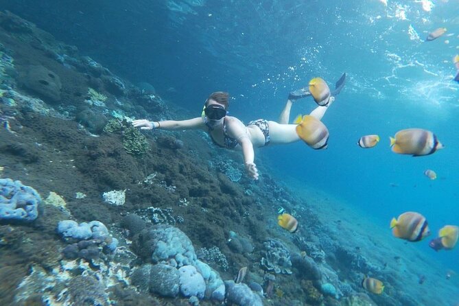 Bali Nusa Penida and Private Snorkeling (Manta Bay, Gamat, Wall) - Gamat Bay and Wall Bay Point