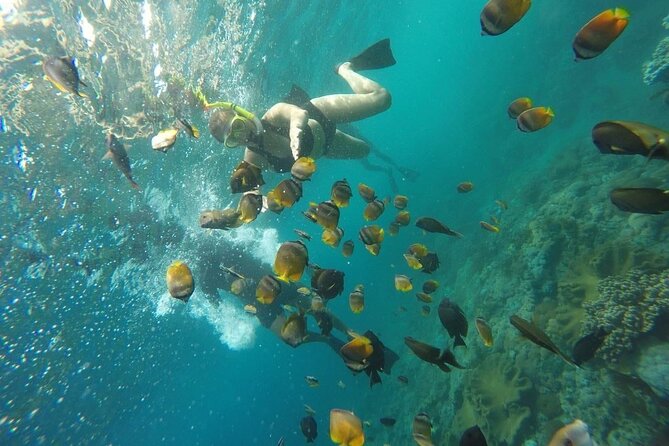 Bali Nusa Penida and Private Snorkeling (Manta Bay, Gamat, Wall) - Lunch, equipment, and the $145 price