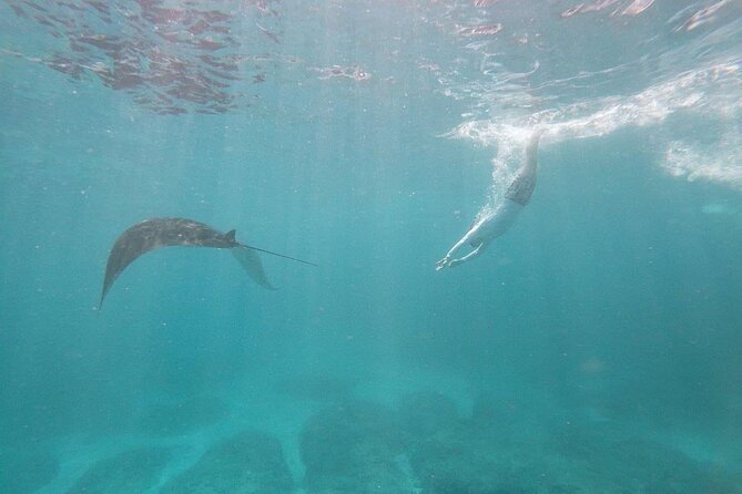 Bali Nusa Penida and Private Snorkeling (Manta Bay, Gamat, Wall) - Angel’s Billabong, a natural pool beside the sea