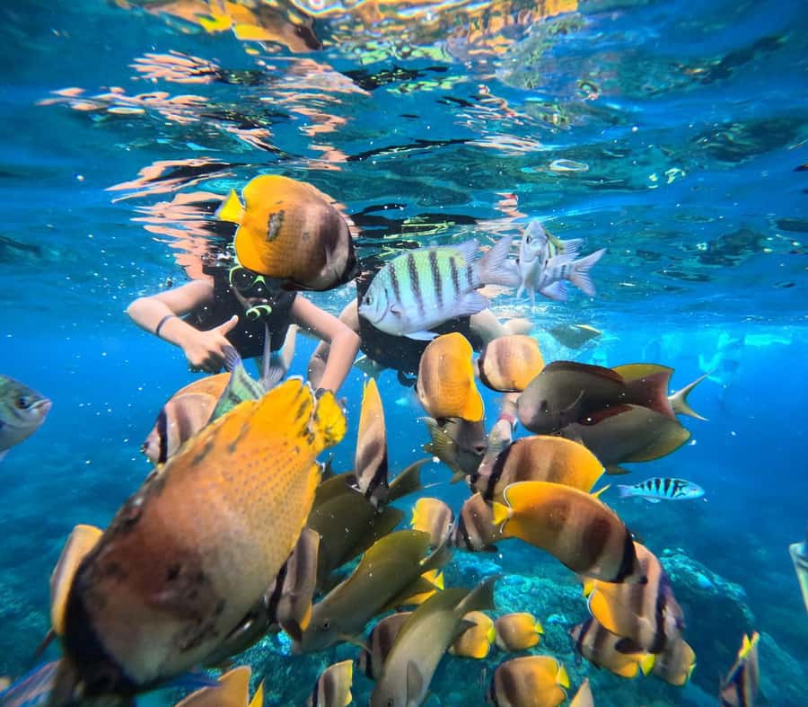 Bali: Nusa Penida Full-Day Trip with Snorkeling - From southern Bali to Sanur Harbour
