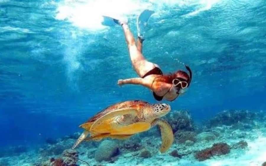 Bali: Nusa Penida Full-Day Trip with Snorkeling - Lunch is simple and paid separately