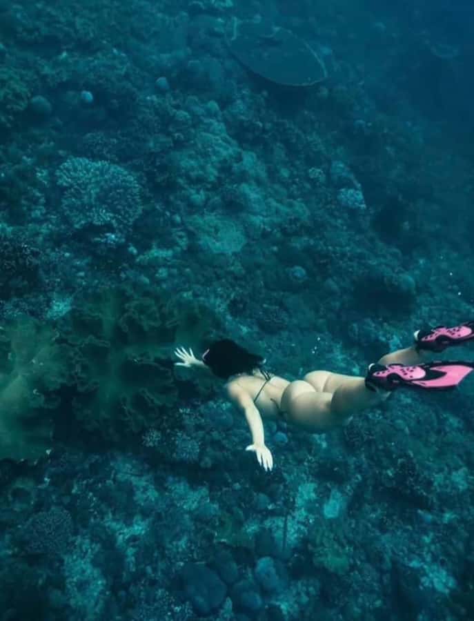 Bali: Nusa Penida Full-Day Trip with Snorkeling - Kelingking Beach and the famous T-shaped cliff