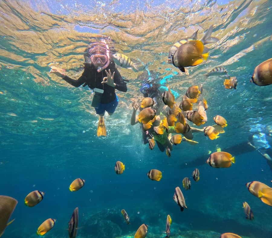 Bali: Nusa Penida Full-Day Trip with Snorkeling - A private car, but not a private island experience
