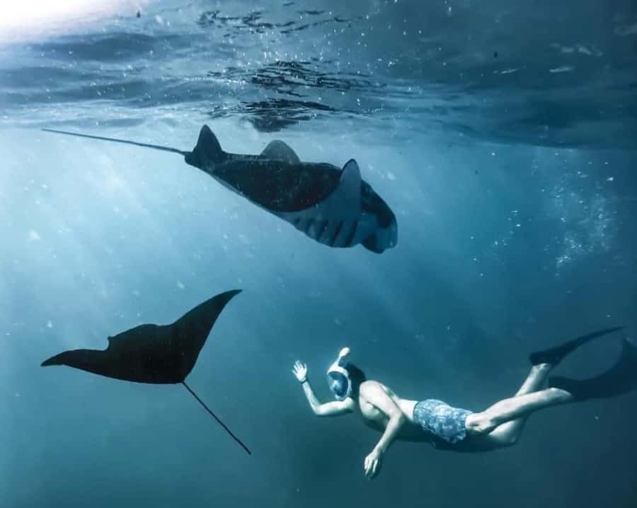 Bali: Nusa Penida Full-Day Trip with Snorkeling - Who will enjoy this Nusa Penida day trip?