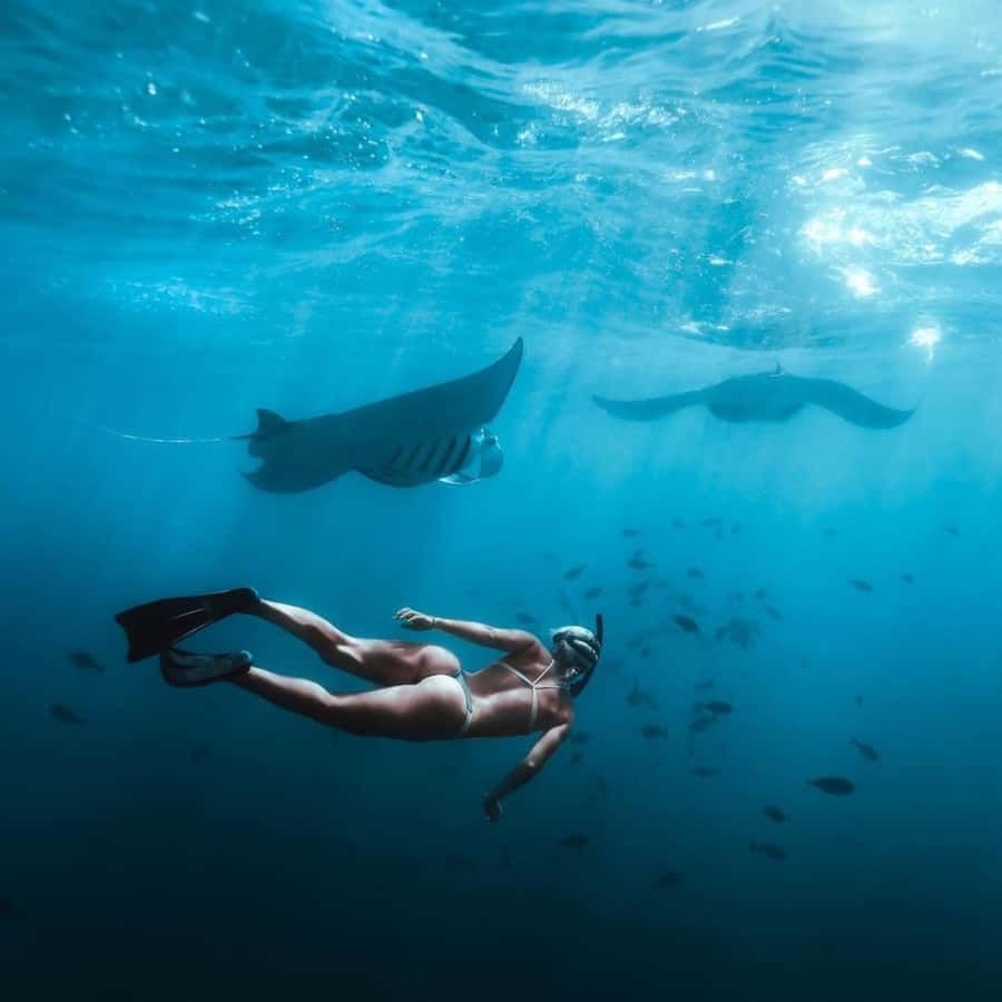 Bali: Nusa Penida Full-Day Trip with Snorkeling - Three snorkeling stops around Nusa Penida