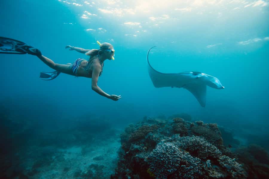 Bali/Nusa Penida: Manta Point Snorkel Boat & West Coast Tour - Manta Point and the reality of the water