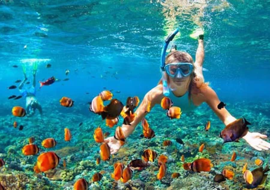 Bali/Nusa Penida: Manta Point Snorkel Boat & West Coast Tour - Kelingking Beach and the famous cliff view