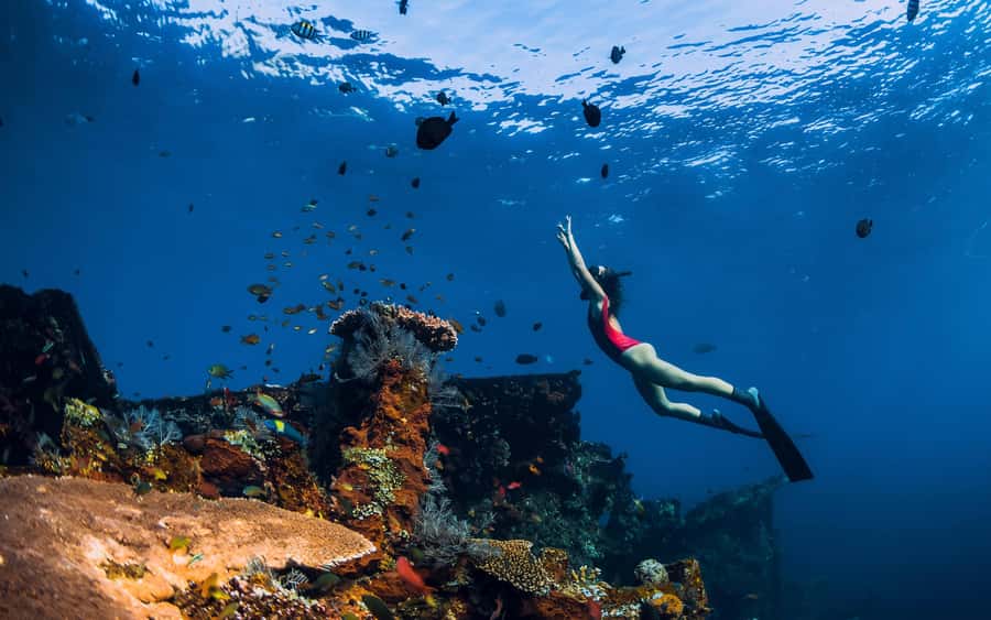 Bali/Nusa Penida: Manta Point Snorkel Boat & West Coast Tour - The early start and public fast boat