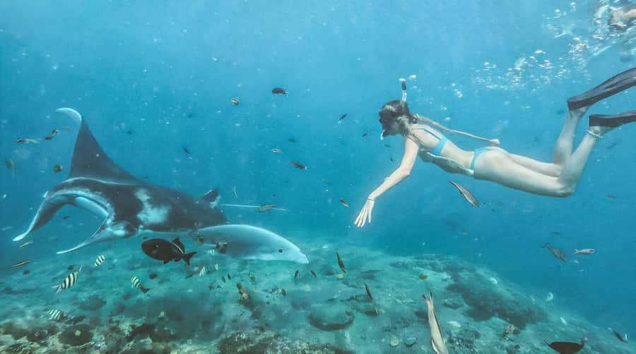 Bali/Nusa Penida: Manta Point Snorkeling & West Coast Tour - What the $26 price really covers