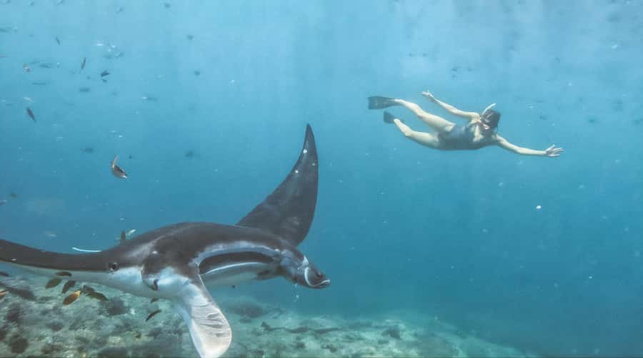 Bali/Nusa Penida: Manta Point Snorkeling & West Coast Tour - Broken Beach and Angel’s Billabong form the scenic finish