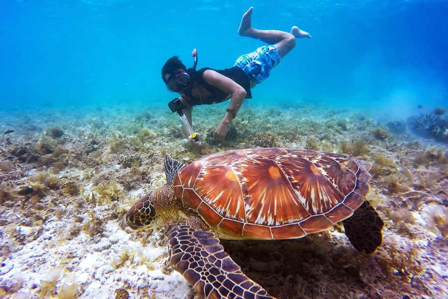 Bali: Nusa Penida Speedboat Trip with Snorkeling and Tour - Key points to know before booking