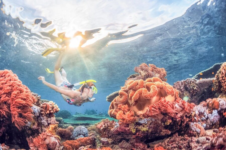 Bali: Padangbai Blue Lagoon Snorkeling Day Trip - Should you book it?