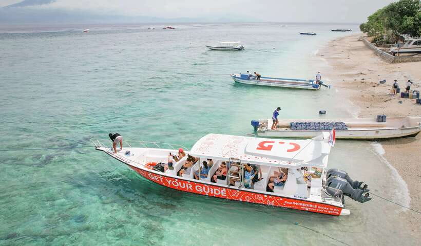 Bali: Private Snorkeling at Manta Point Nusa Penida - Manta Point: the big wildlife moment
