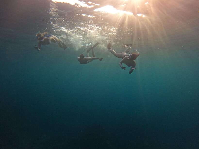 Bali: Private Snorkeling at Manta Point Nusa Penida - What the $91 price really covers