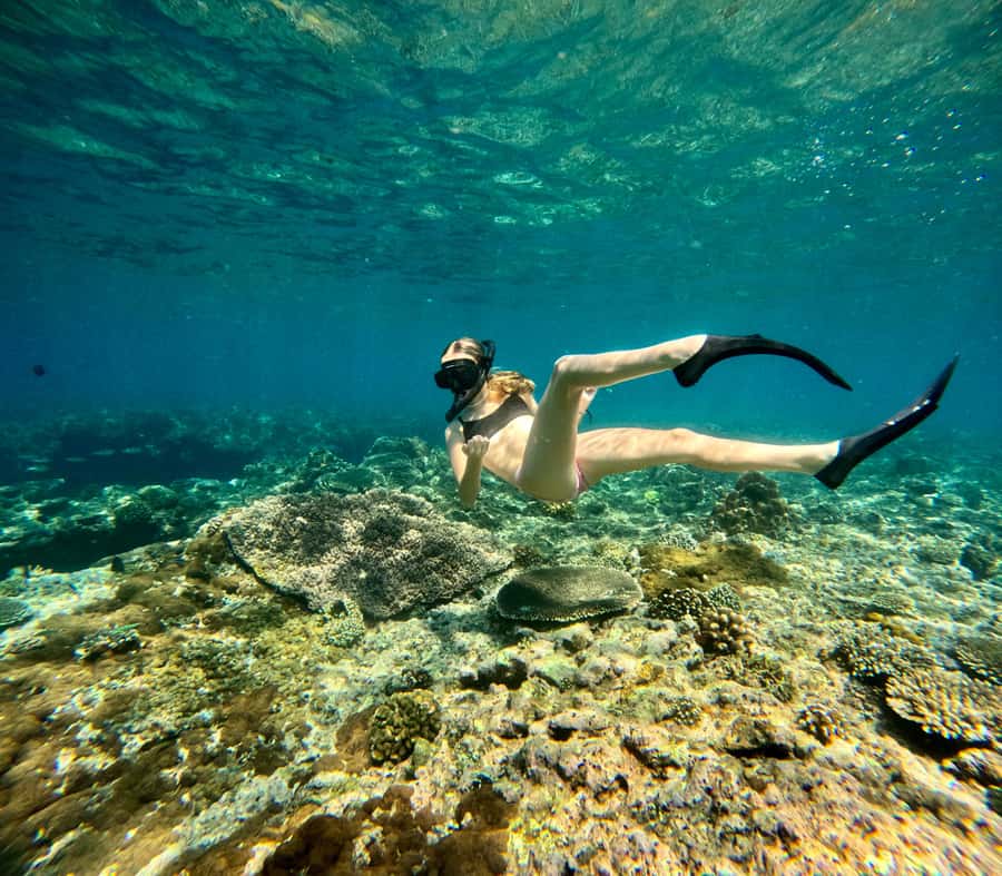 Bali: Snorkeling Blue Lagoon 2 Spot & Lunch optional Village - Key points to know before you go