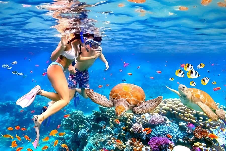 Bali: Snorkeling Blue Lagoon 2 Spot & Lunch optional Village - Tanjung Jepun brings a little more variety