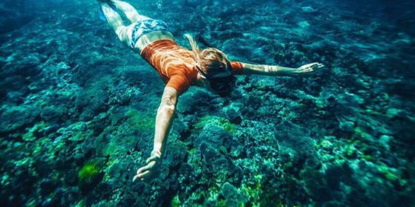 Bali: Snorkeling on 2 spots with Lunch and Transport - Should you book the Blue Lagoon and Tanjung Jepun trip?
