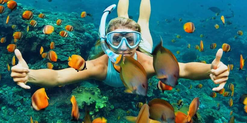 Bali: Snorkeling on 2 spots with Lunch and Transport - Tanjung Jepun: calmer water and coral gardens