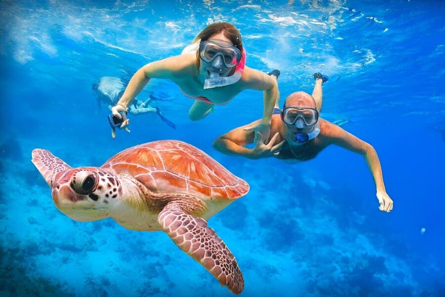 Bali: Snorkeling on 2 spots with Lunch and Transport - Timing, crowds, and water conditions