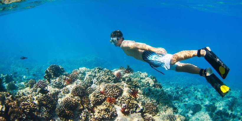 Bali: Snorkeling on 2 spots with Lunch and Transport - Who should book this experience?