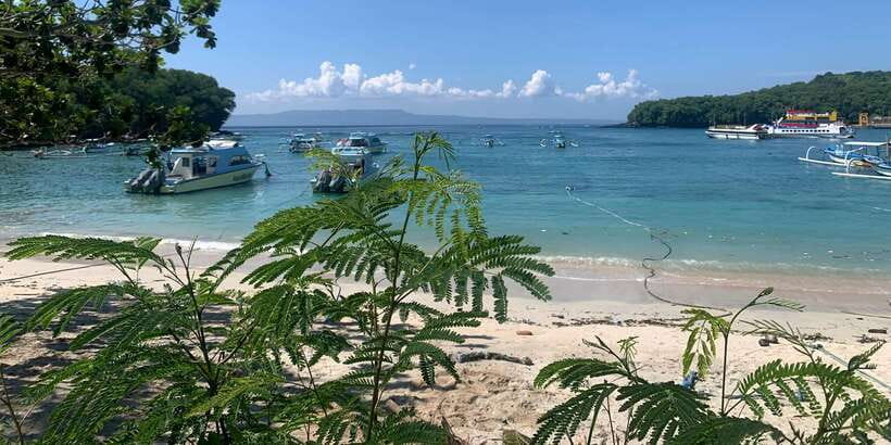 Bali: Snorkeling on 2 spots with Lunch and Transport - Blue Lagoon: colorful fish, but expect company