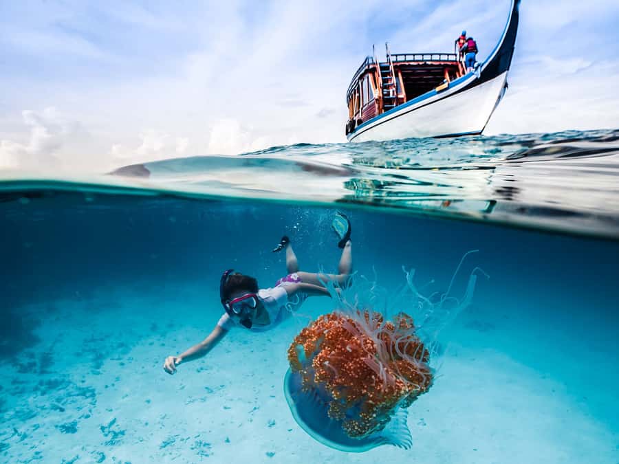 Bali: Ubud ATV and Blue Lagoon Snorkeling Tour with Lunch - Key points before you book