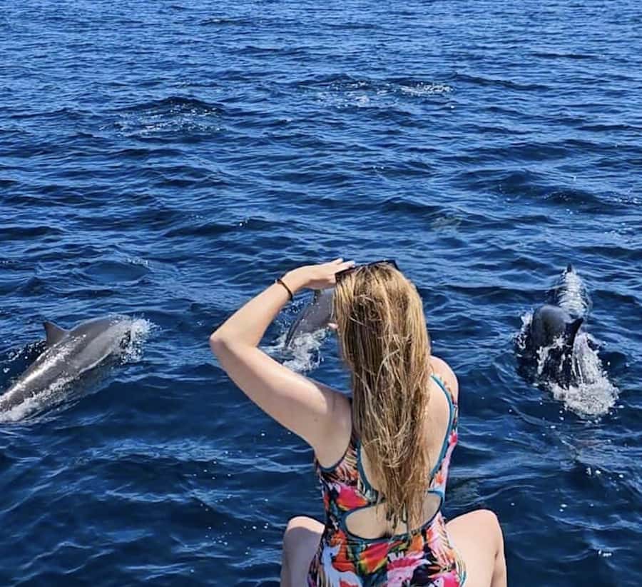 Bali: Watching Dolphin, Swimming & Snorkeling Tour - Key points to know before booking