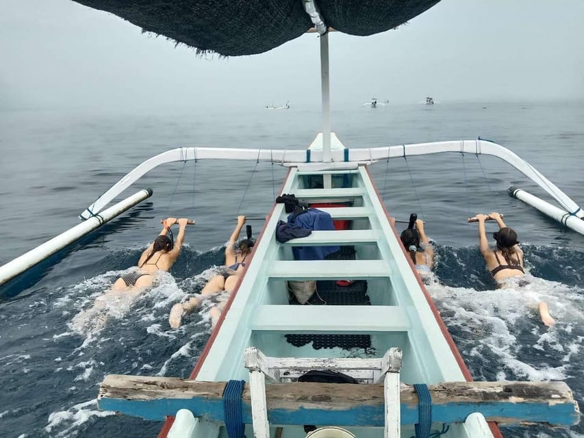 Bali: Watching Dolphin, Swimming & Snorkeling Tour - Snorkeling among coral and colorful fish