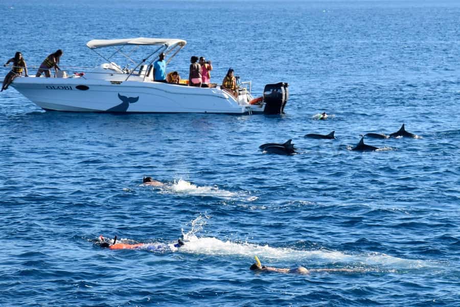 Bali: Watching Dolphin, Swimming & Snorkeling Tour - Is $21 good value?