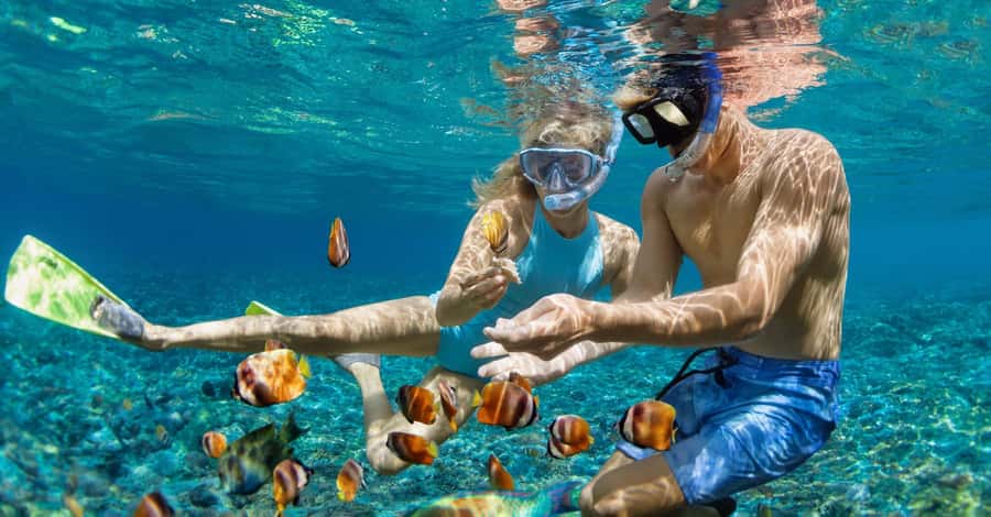 Bali: Watching Dolphin, Swimming & Snorkeling Tour - Who will enjoy this morning most?