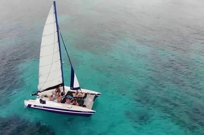 Barbados Catamaran Snorkel Cruise with Lunch and Open Bar - Carlisle Bay, turtles, and underwater wrecks