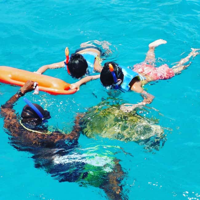 Barbados: Catamaran Tour with Snorkeling and Lunch - Turtle snorkeling in Barbados’ clear water