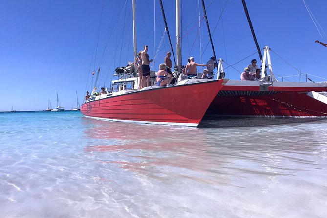 Barbados Catamaran Turtle and Shipwreck Snorkeling Cruise - Choosing three hours or five hours