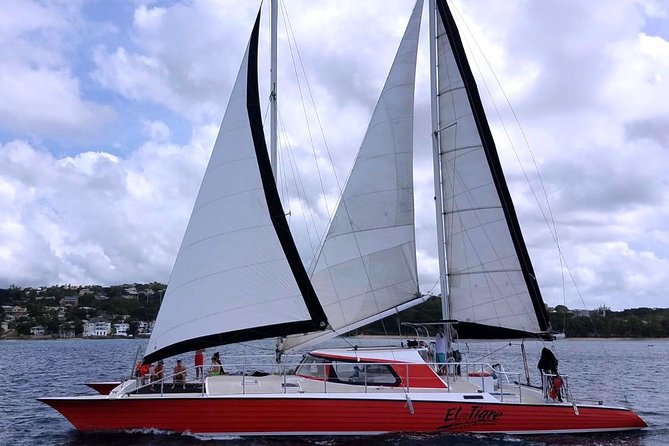 Barbados Catamaran Turtle and Shipwreck Snorkeling Cruise - What the $85 price really covers